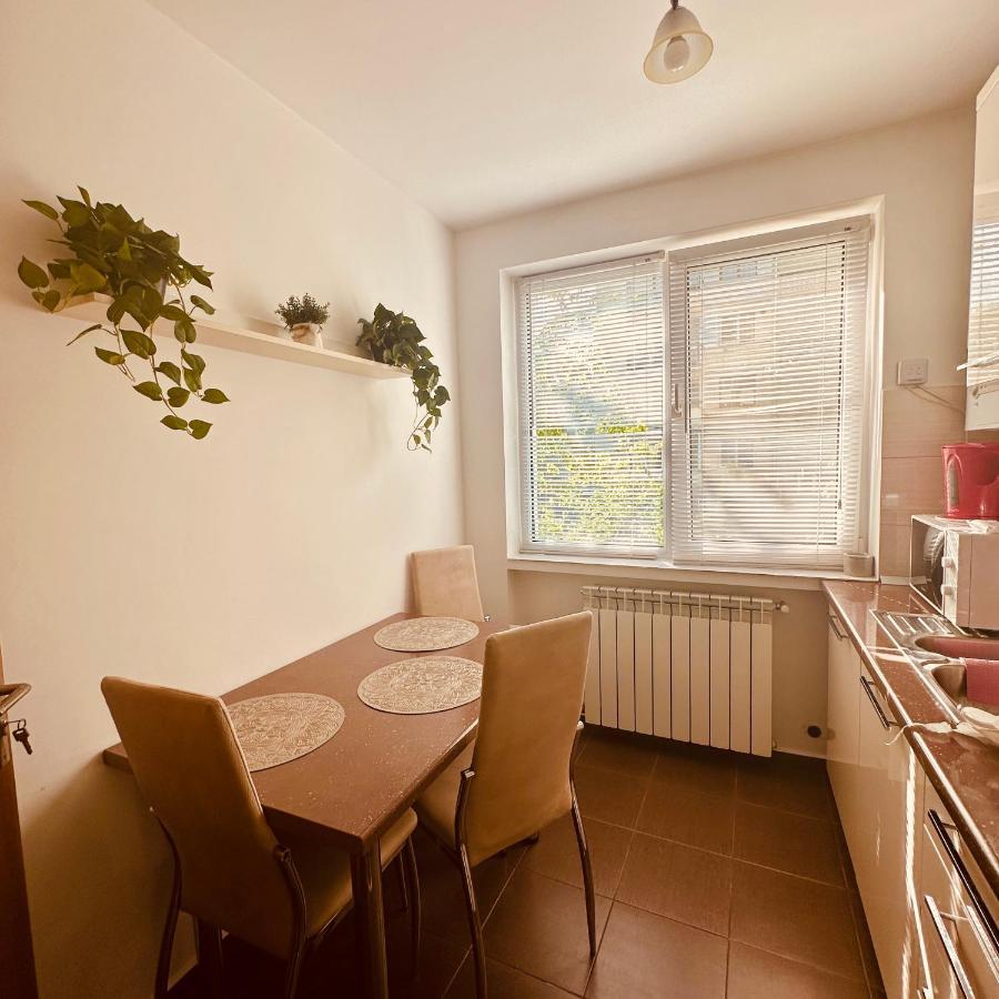 Sweet Apartament Baia Mare Bagian luar foto
