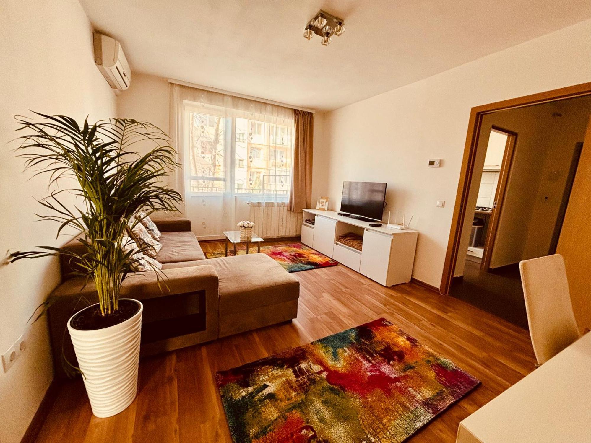 Sweet Apartament Baia Mare Bagian luar foto